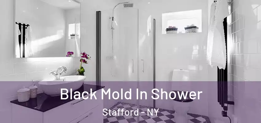  Black Mold In Shower Stafford - NY