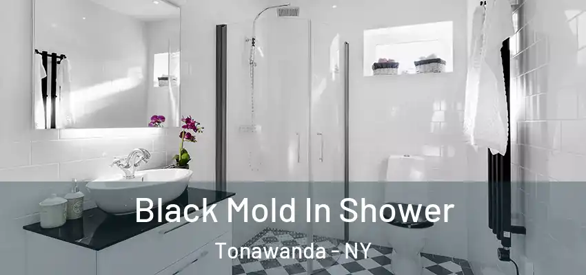  Black Mold In Shower Tonawanda - NY