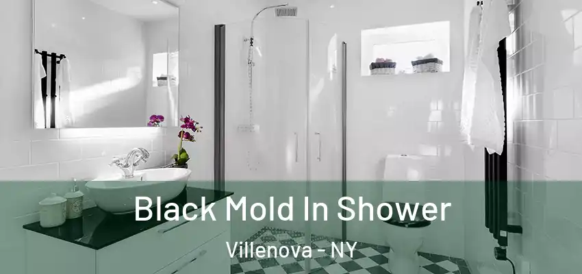 Black Mold In Shower Villenova - NY