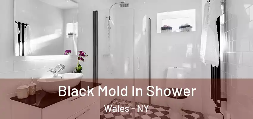  Black Mold In Shower Wales - NY