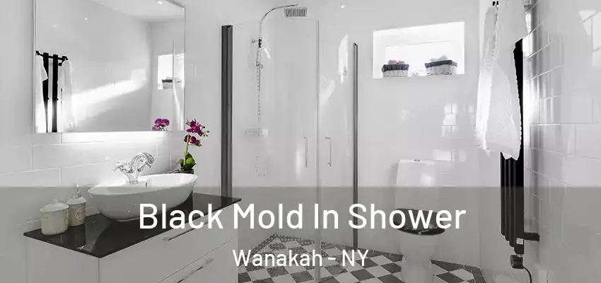  Black Mold In Shower Wanakah - NY