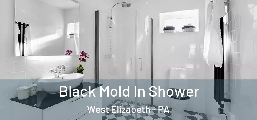  Black Mold In Shower West Elizabeth - PA