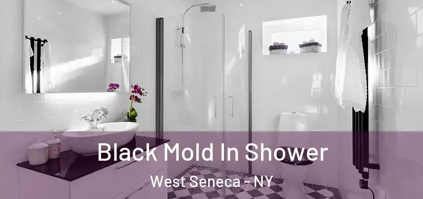  Black Mold In Shower West Seneca - NY