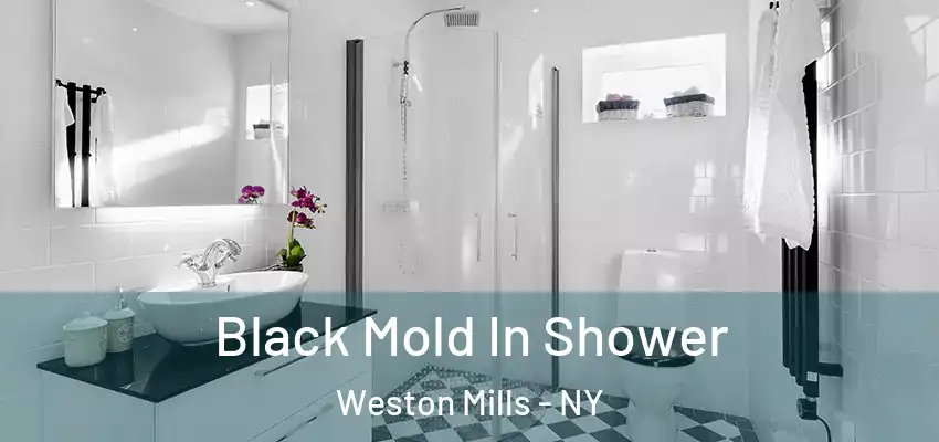  Black Mold In Shower Weston Mills - NY