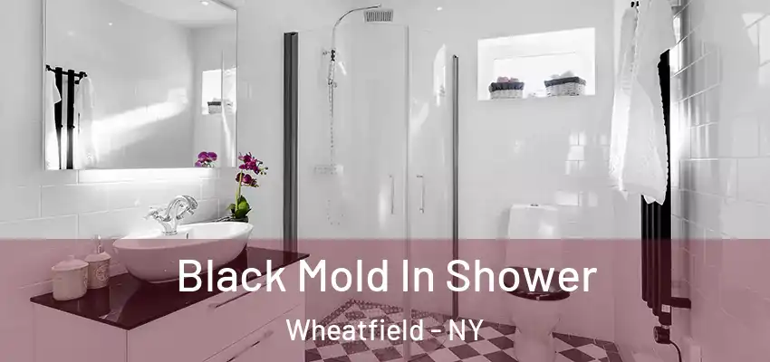  Black Mold In Shower Wheatfield - NY