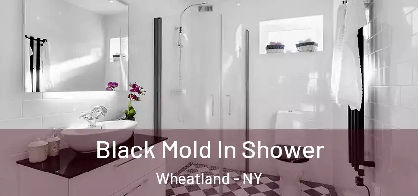  Black Mold In Shower Wheatland - NY