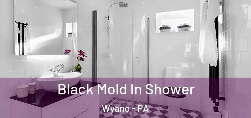  Black Mold In Shower Wyano - PA