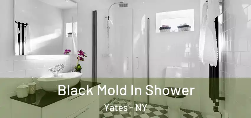  Black Mold In Shower Yates - NY