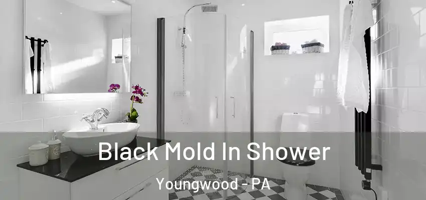  Black Mold In Shower Youngwood - PA