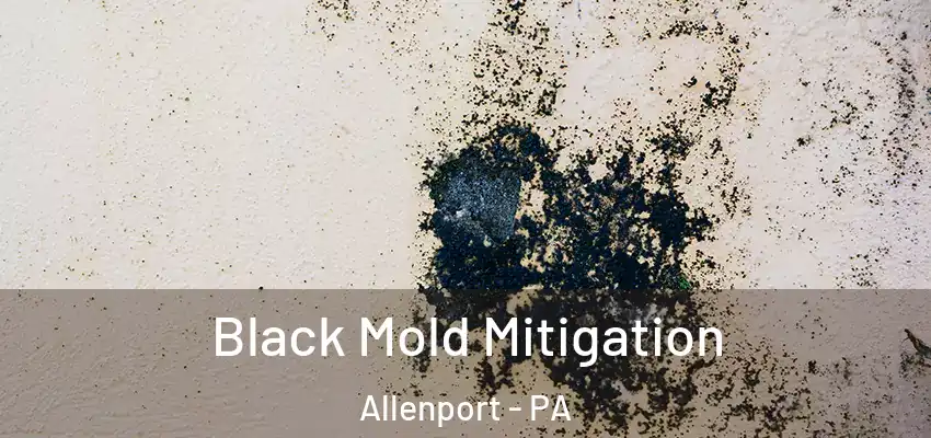  Black Mold Mitigation Allenport - PA