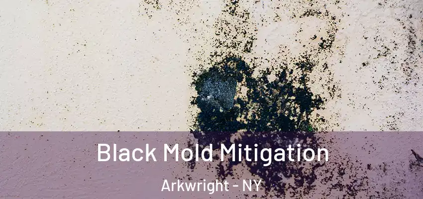  Black Mold Mitigation Arkwright - NY
