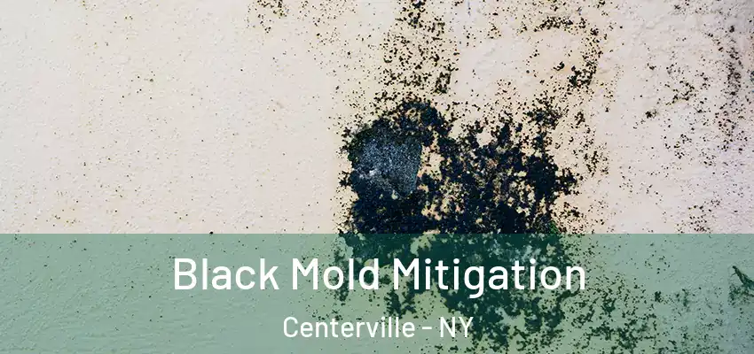  Black Mold Mitigation Centerville - NY