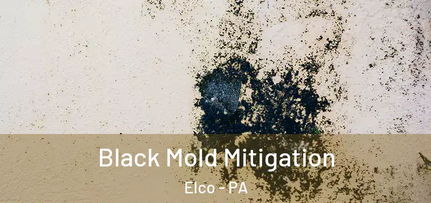  Black Mold Mitigation Elco - PA
