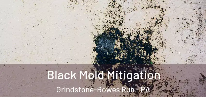  Black Mold Mitigation Grindstone-Rowes Run - PA