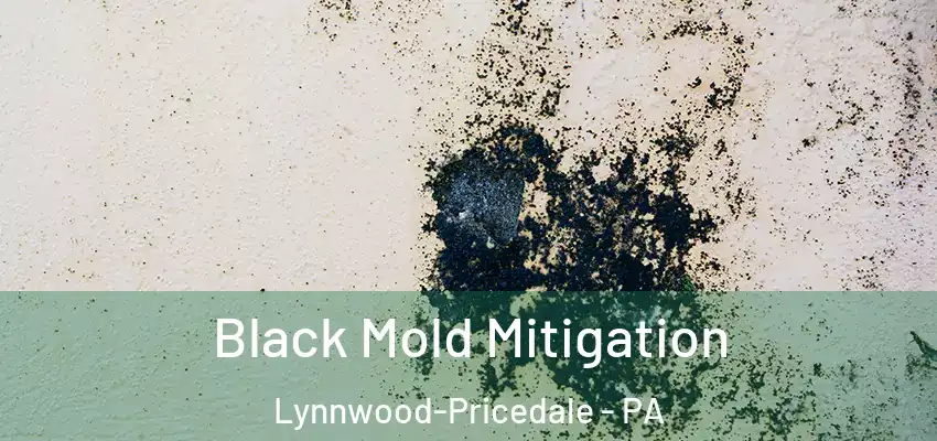  Black Mold Mitigation Lynnwood-Pricedale - PA
