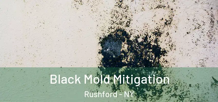  Black Mold Mitigation Rushford - NY