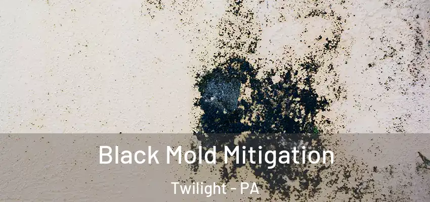  Black Mold Mitigation Twilight - PA