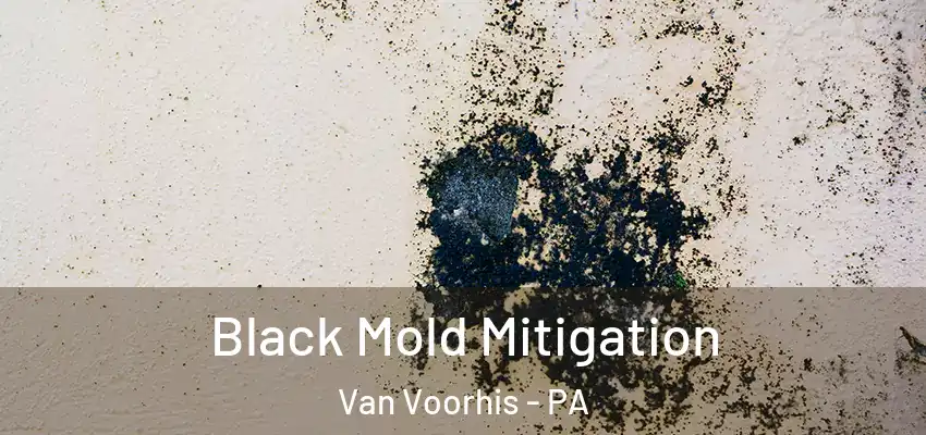  Black Mold Mitigation Van Voorhis - PA
