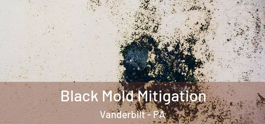  Black Mold Mitigation Vanderbilt - PA
