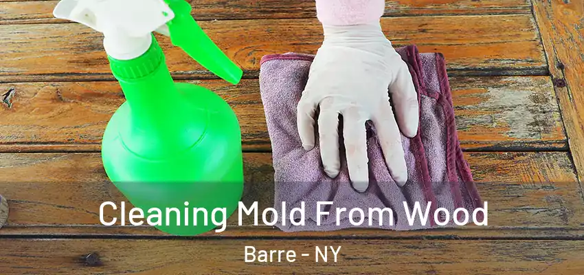  Cleaning Mold From Wood Barre - NY