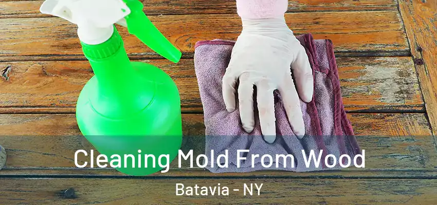  Cleaning Mold From Wood Batavia - NY