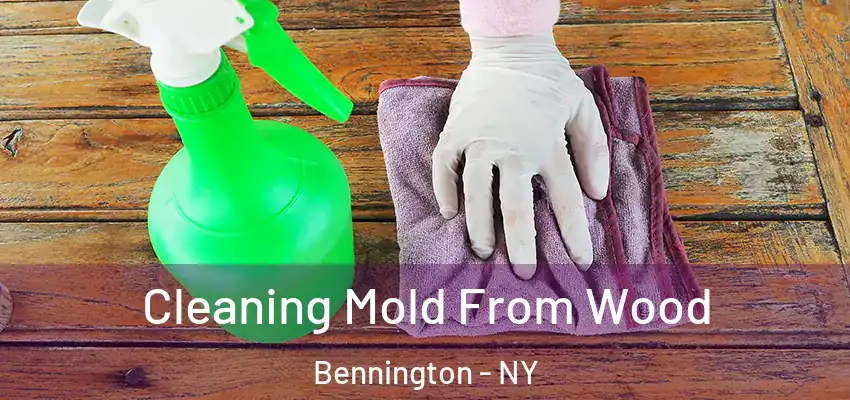  Cleaning Mold From Wood Bennington - NY