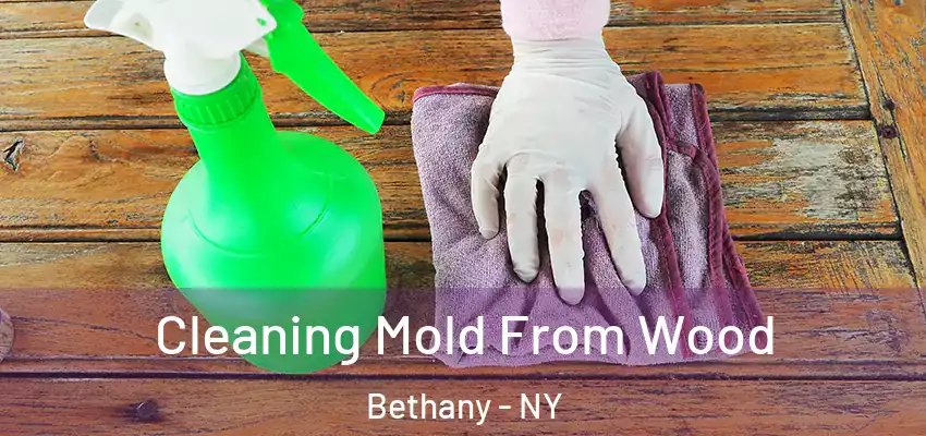  Cleaning Mold From Wood Bethany - NY