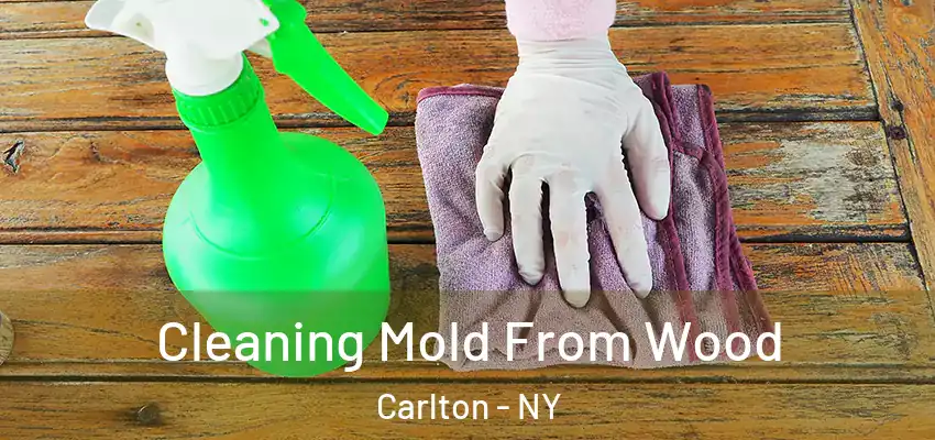  Cleaning Mold From Wood Carlton - NY