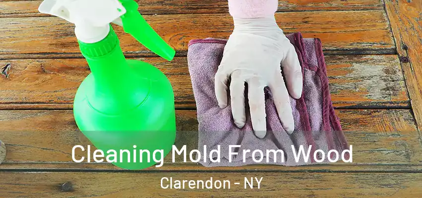  Cleaning Mold From Wood Clarendon - NY