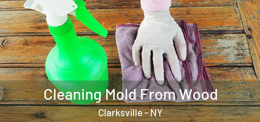  Cleaning Mold From Wood Clarksville - NY
