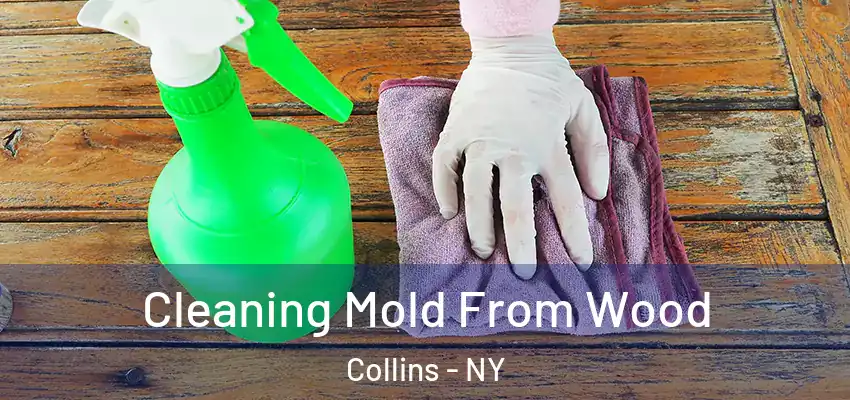  Cleaning Mold From Wood Collins - NY