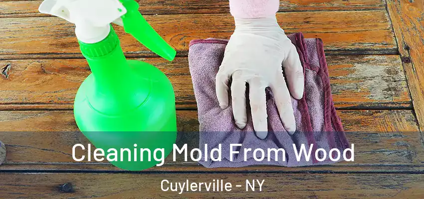  Cleaning Mold From Wood Cuylerville - NY