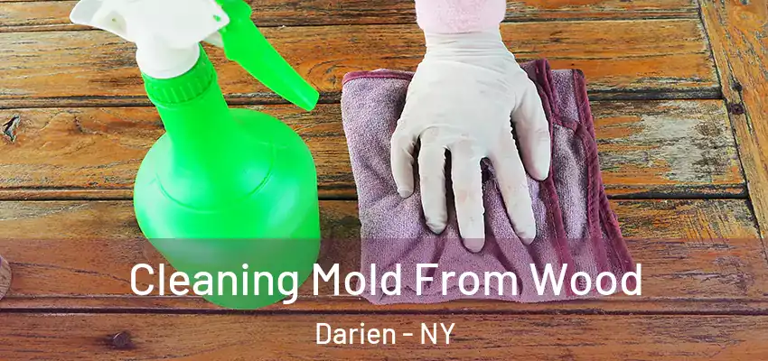  Cleaning Mold From Wood Darien - NY