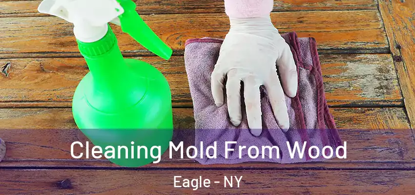  Cleaning Mold From Wood Eagle - NY