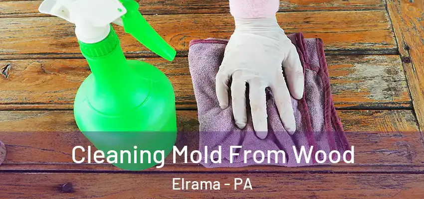  Cleaning Mold From Wood Elrama - PA