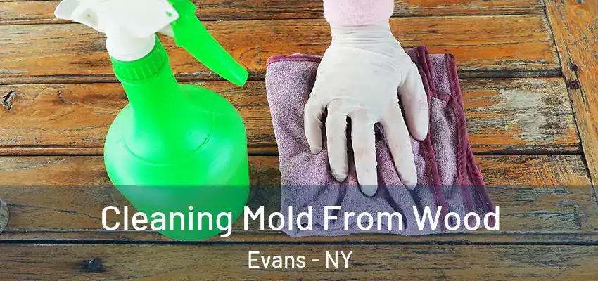  Cleaning Mold From Wood Evans - NY
