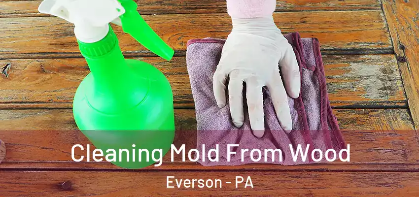  Cleaning Mold From Wood Everson - PA