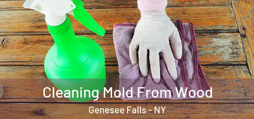  Cleaning Mold From Wood Genesee Falls - NY