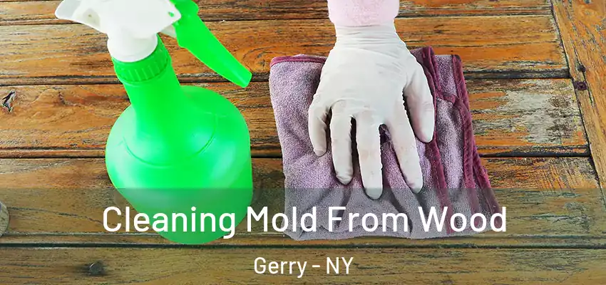  Cleaning Mold From Wood Gerry - NY