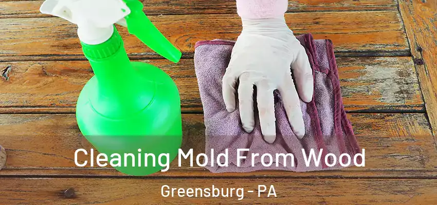  Cleaning Mold From Wood Greensburg - PA