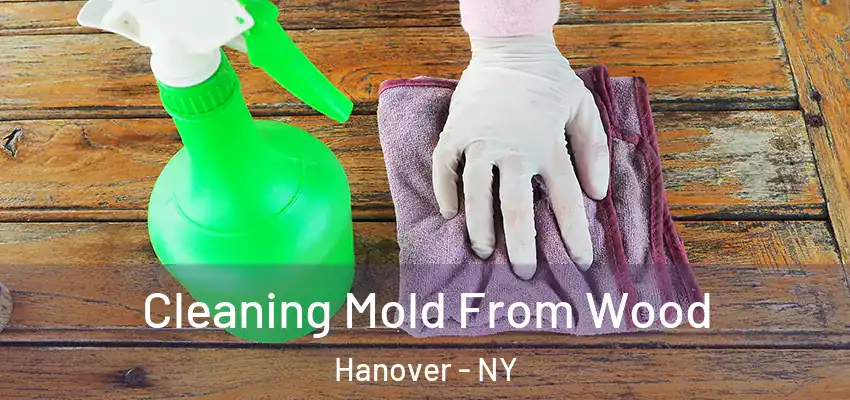  Cleaning Mold From Wood Hanover - NY