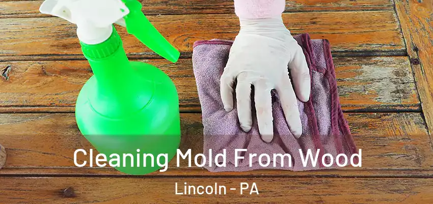  Cleaning Mold From Wood Lincoln - PA