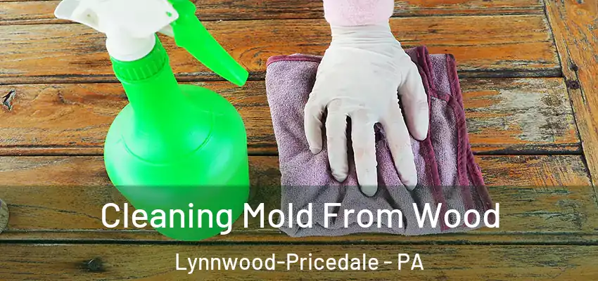  Cleaning Mold From Wood Lynnwood-Pricedale - PA