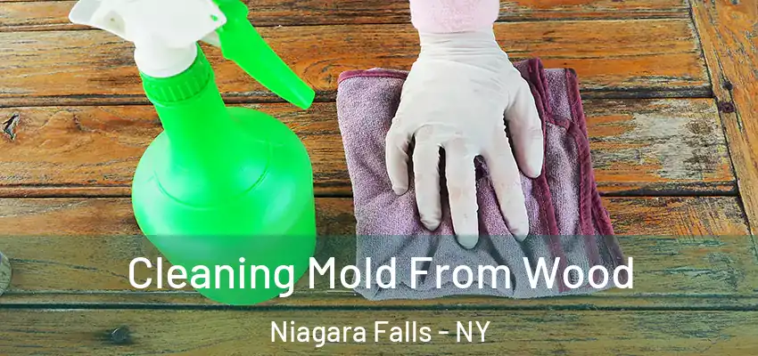  Cleaning Mold From Wood Niagara Falls - NY