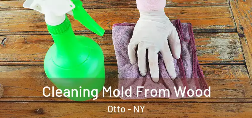  Cleaning Mold From Wood Otto - NY