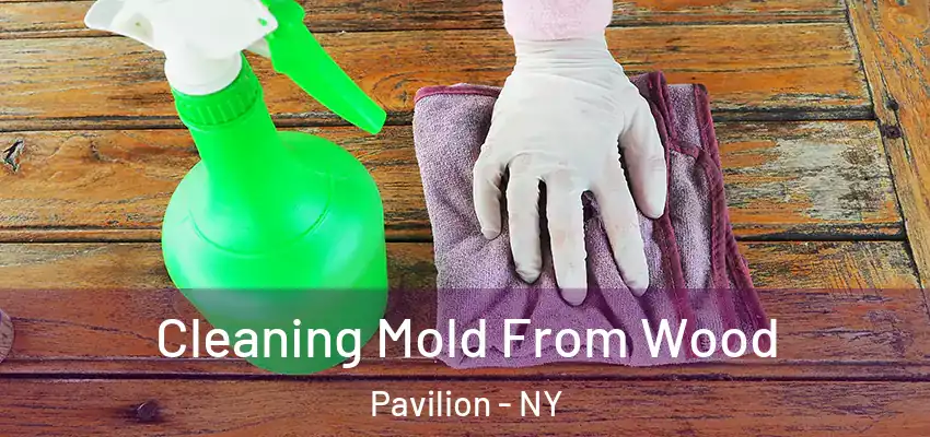  Cleaning Mold From Wood Pavilion - NY