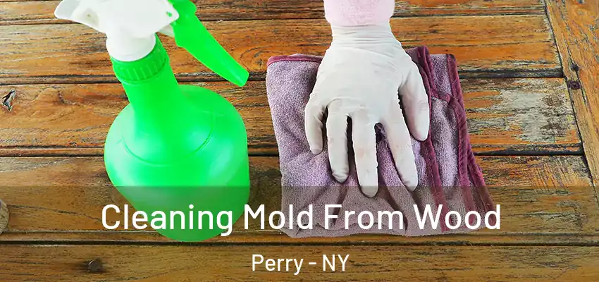  Cleaning Mold From Wood Perry - NY
