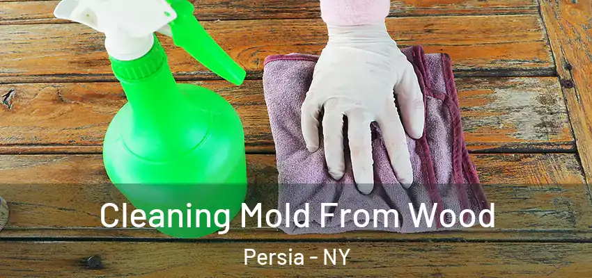  Cleaning Mold From Wood Persia - NY