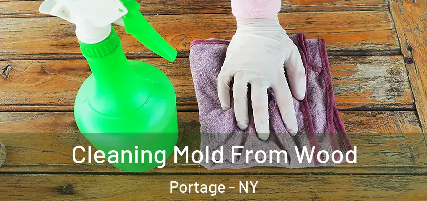  Cleaning Mold From Wood Portage - NY