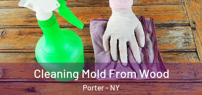  Cleaning Mold From Wood Porter - NY